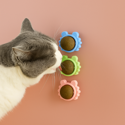 Catnip Toy Ball – Snack & Play Treat for Cats
