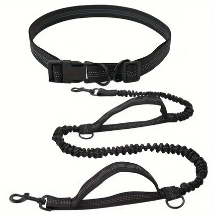 PawStrap Dog Leash – Retractable Hands-Free with Shock Absorption