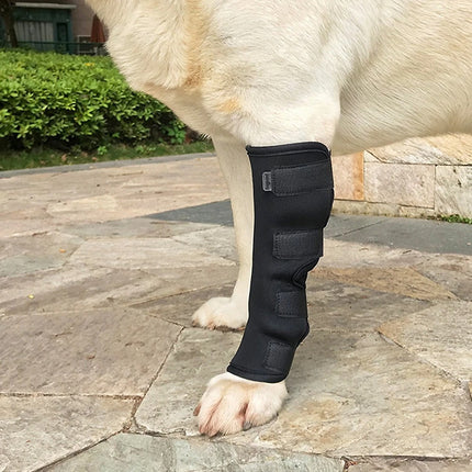 Pet Knee Brace Pair – Joint Wrap Support for Dogs