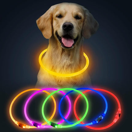 LED Dog Collar – Adjustable USB Rechargeable Light-Up for Night Visibility