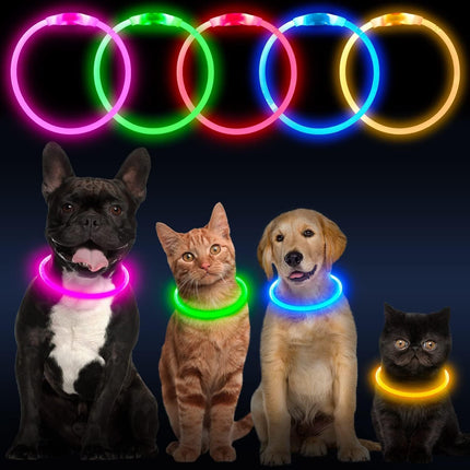 LED Dog Collar – Adjustable USB Rechargeable Light-Up for Night Visibility
