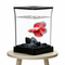 Fish Tanks