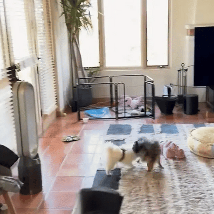 Ultrasonic Dog Training Device – Portable Sound Tool for Dogs