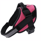 Dark Pink / XS