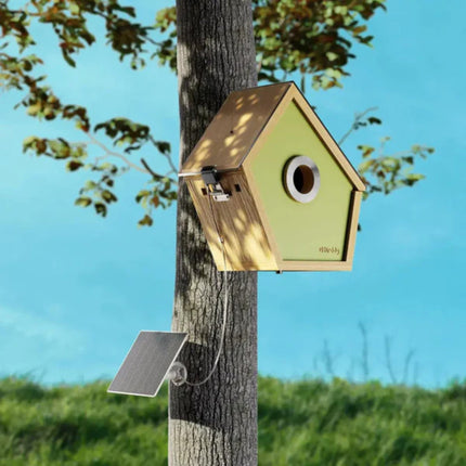 Smart Birdhouse – Weatherproof Camera Bird Box for Live Viewing