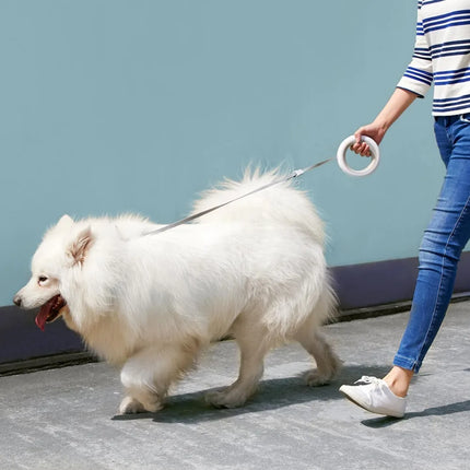 Adjustable Smart Leash – Durable Retractable Dog Lead