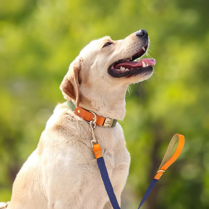 Dog Leash 150 cm – Durable Nylon Lead with PU Leather Handle