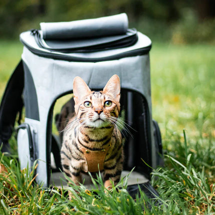 Pet Carrier Backpack – Expandable Foldable Bag with Breathable Design