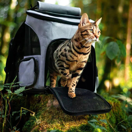 Pet Carrier Backpack – Expandable Foldable Bag with Breathable Design
