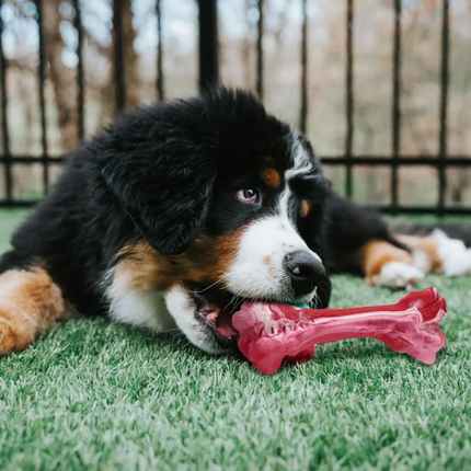 Durable Dog Chew Toy – Silicone Bone