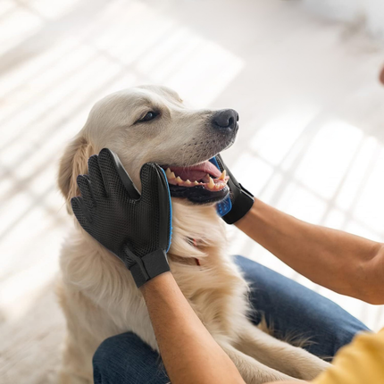 Pet Grooming Gloves – Cats & Dogs