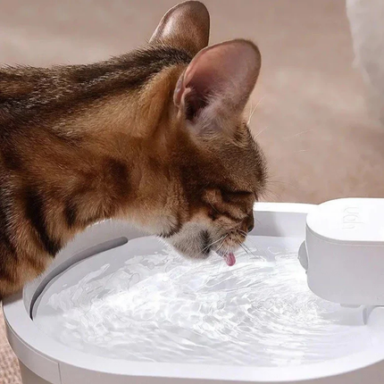 Smart Cat Water Fountain – 2L Wireless Dispenser