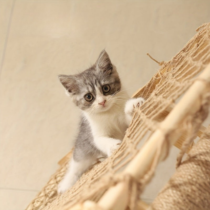 Wooden Cat Climbing Tree – Sisal Scratching Post with Hammock