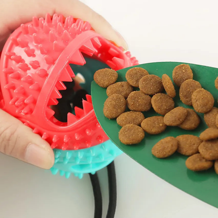 Interactive Suction Cup Dog Toy – Silicone Chew Ball for Puppies
