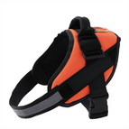 Orange / XS