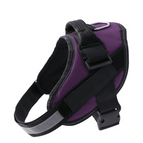 Purple / XS