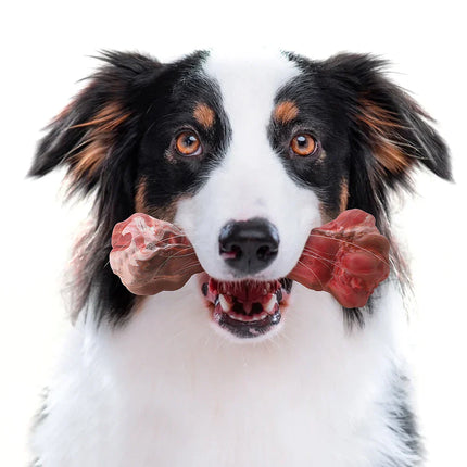 Durable Dog Chew Toy – Silicone Bone