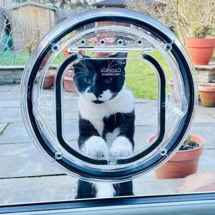 4-Way Lockable Cat Door – Small Pet Flap for Cats