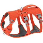 Orange / XS