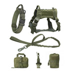 Green / M / 6 Set