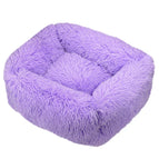 Purple / XS 45x35