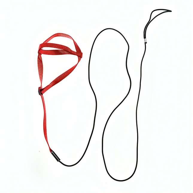 Bird Harness with Leash – Flying Training Rope for Parrots