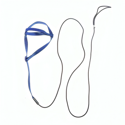 Bird Harness with Leash – Flying Training Rope for Parrots