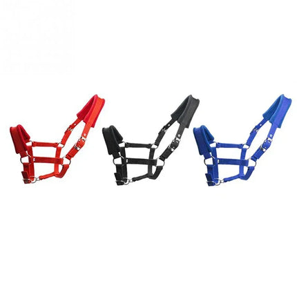 Adjustable Padded Pony Halter – Lightweight Head Collar for Everyday Use