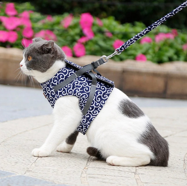 Pet Harness and Leash Set – Adjustable Breathable Vest for Cats