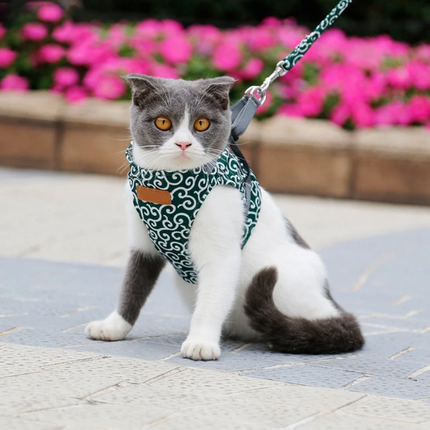 Pet Harness and Leash Set – Adjustable Breathable Vest for Cats