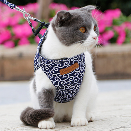 Pet Harness and Leash Set – Adjustable Breathable Vest for Cats