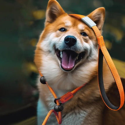 No-Pull Dog Slip Lead – Training Leash with Padded Handle