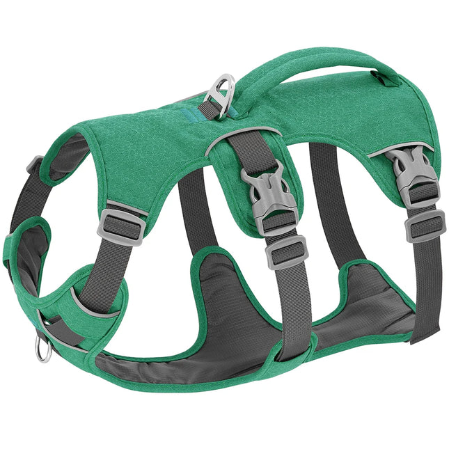 Adjustable Nylon Dog Harness with Handle