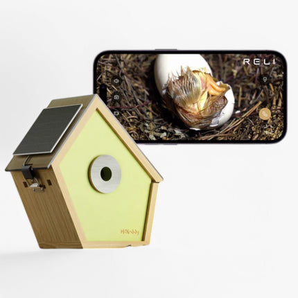 Smart Birdhouse – Weatherproof Camera Bird Box for Live Viewing