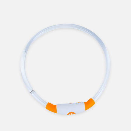 LED Dog Collar – Adjustable USB Rechargeable Light-Up for Night Visibility