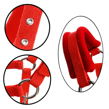 Adjustable Padded Pony Halter – Lightweight Head Collar for Everyday Use