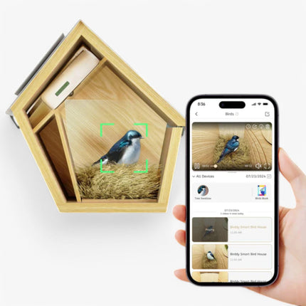 Smart Birdhouse – Weatherproof Camera Bird Box for Live Viewing
