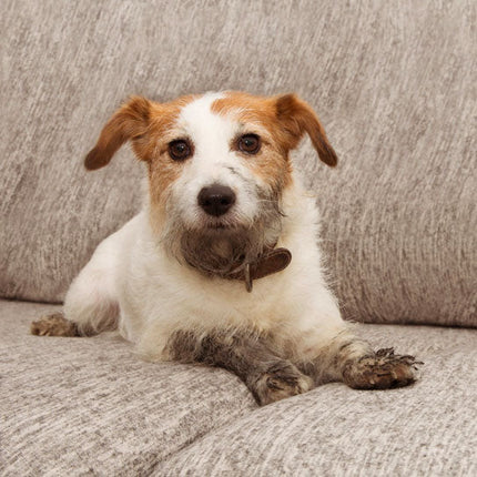Dog Bed Cushion – Washable Mat for Pets