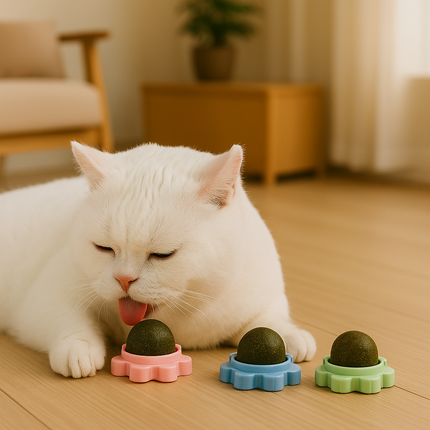 Catnip Toy Ball – Snack & Play Treat for Cats