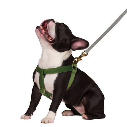 Nylon Reflective Pet Harness – Adjustable Vest for Small and Medium Dogs and Cats
