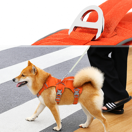 Adjustable Nylon Dog Harness with Handle