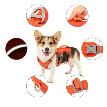 Adjustable Nylon Dog Harness with Handle