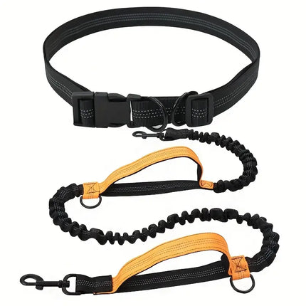 PawStrap Dog Leash – Retractable Hands-Free with Shock Absorption