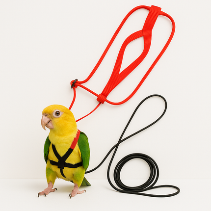 Bird Harness with Leash – Flying Training Rope for Parrots