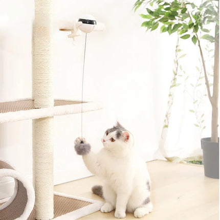 Automatic Cat Toy Ball – Interactive Electric Ball