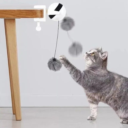 Automatic Cat Toy Ball – Interactive Electric Ball