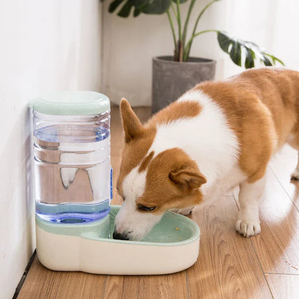 Pet Feeder Set – Food and Water Dispenser