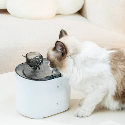 Automatic Cat Water Fountain – USB Electric Pet Drinking Dispenser with Filter