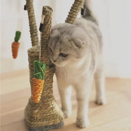 Rabbit Toy Set – Wicker Grass Climbing and Chewing