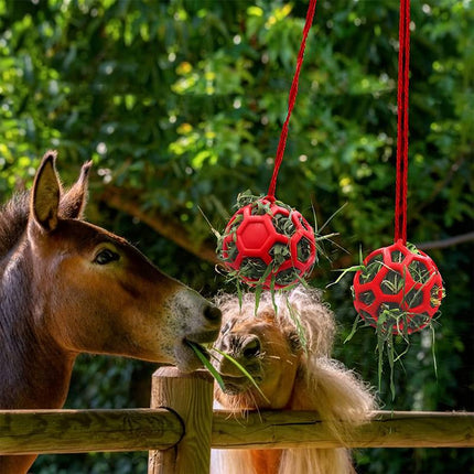 Horse Treat Ball – Hanging Hay Feeder Toy for Horses and Livestock